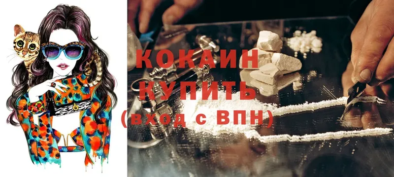 Cocaine Fish Scale  где можно купить наркотик  Ульяновск 